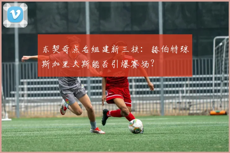 东契奇点名组建新三核：赫伯特琼斯加里夫斯能否引爆赛场？