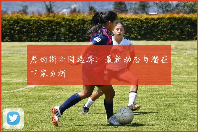 詹姆斯合同选择:最新动态与潜在下家分析