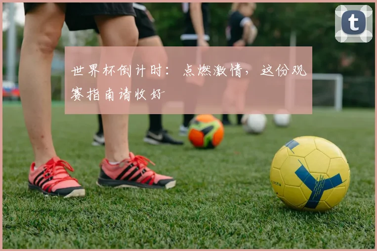 世界杯倒计时:点燃激情,这份观赛指南请收好